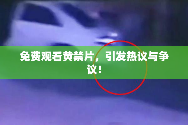 免费观看黄禁片，引发热议与争议！