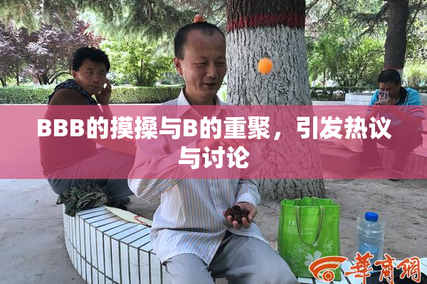 BBB的摸搡与B的重聚，引发热议与讨论