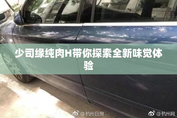 少司缘纯肉H带你探索全新味觉体验