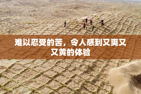 难以忍受的苦，令人感到又爽又又黄的体验