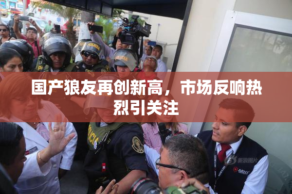 国产狼友再创新高，市场反响热烈引关注