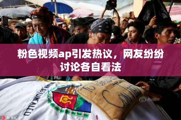 粉色视频ap引发热议，网友纷纷讨论各自看法