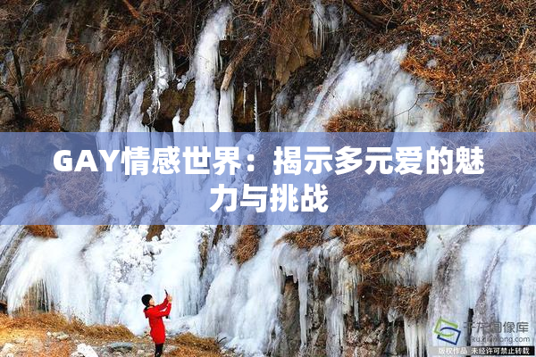 GAY情感世界：揭示多元爱的魅力与挑战