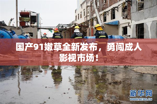 国产91嫩草全新发布，勇闯成人影视市场！