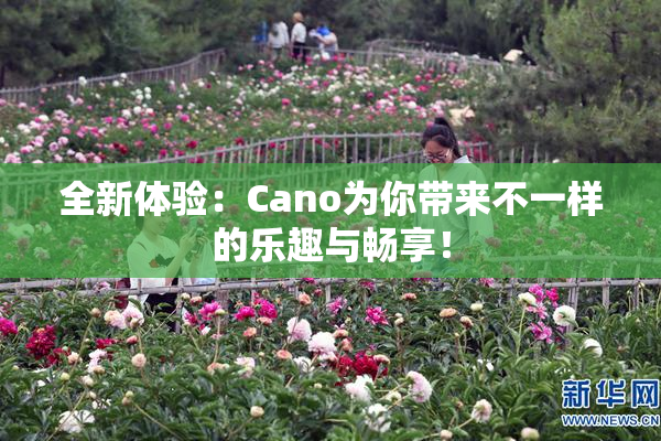 全新体验：Cano为你带来不一样的乐趣与畅享！