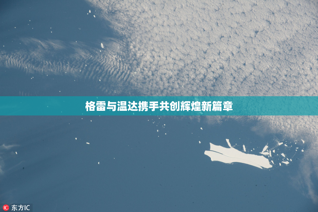 格雷与温达携手共创辉煌新篇章