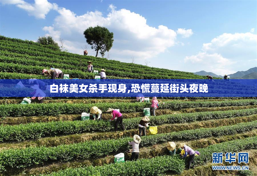 白袜美女杀手现身,恐慌蔓延街头夜晚