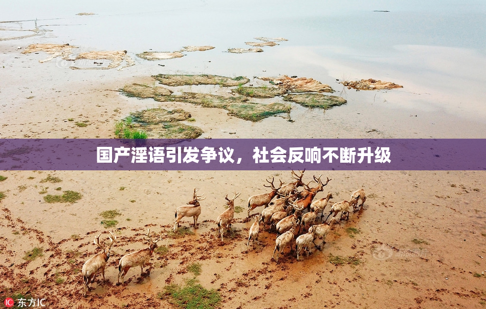 国产淫语引发争议，社会反响不断升级