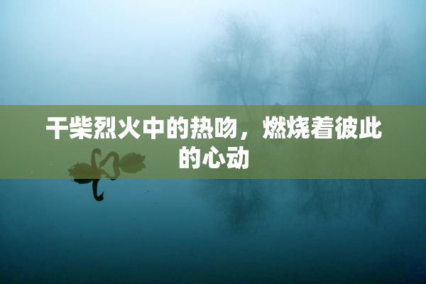 干柴烈火中的热吻，燃烧着彼此的心动