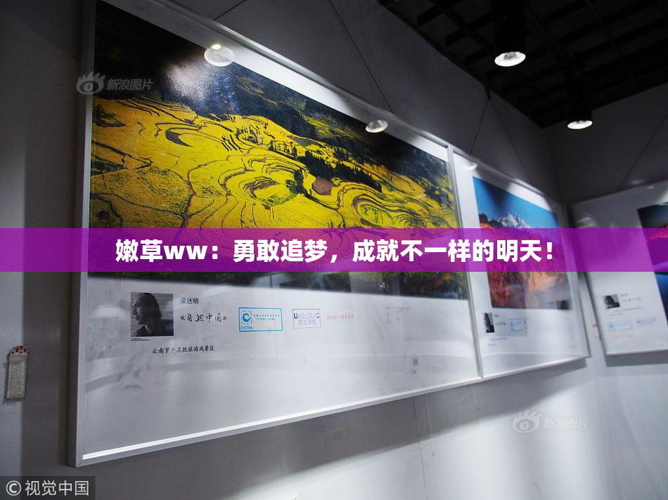 嫩草ww：勇敢追梦，成就不一样的明天！