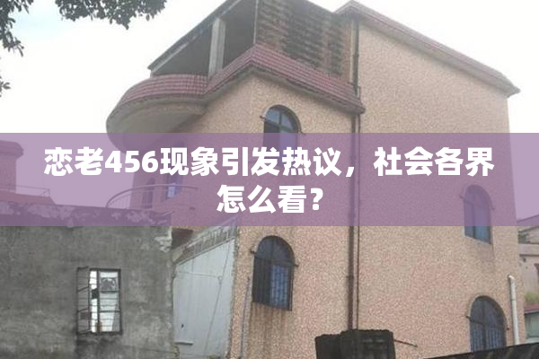 恋老456现象引发热议，社会各界怎么看？