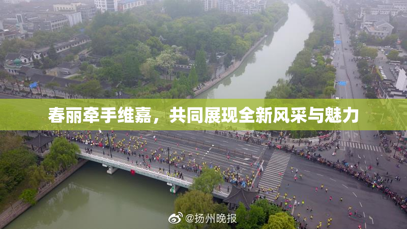 春丽牵手维嘉，共同展现全新风采与魅力
