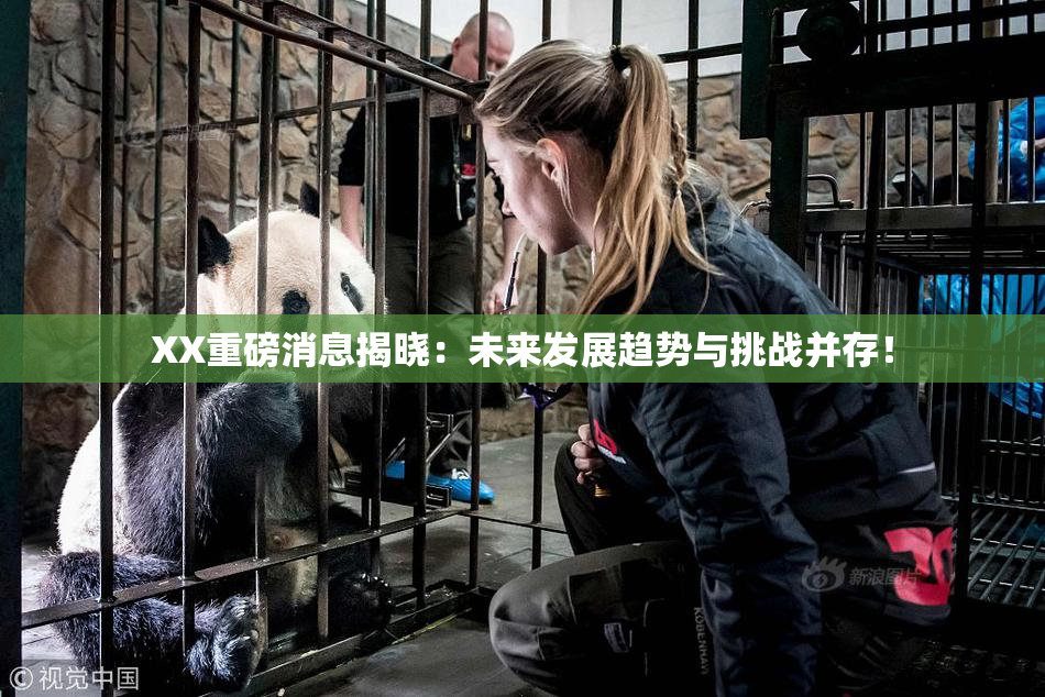 XX重磅消息揭晓：未来发展趋势与挑战并存！
