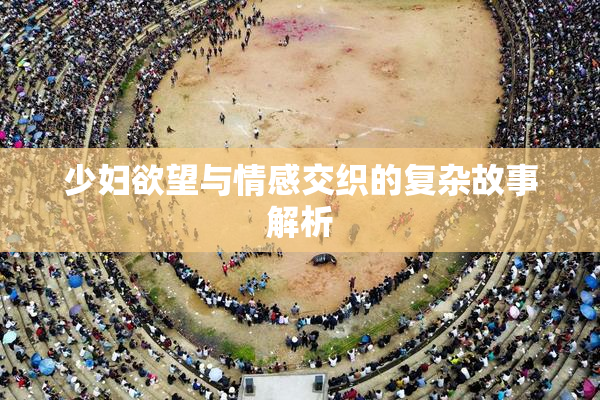 少妇欲望与情感交织的复杂故事解析