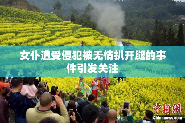 女仆遭受侵犯被无情扒开腿的事件引发关注