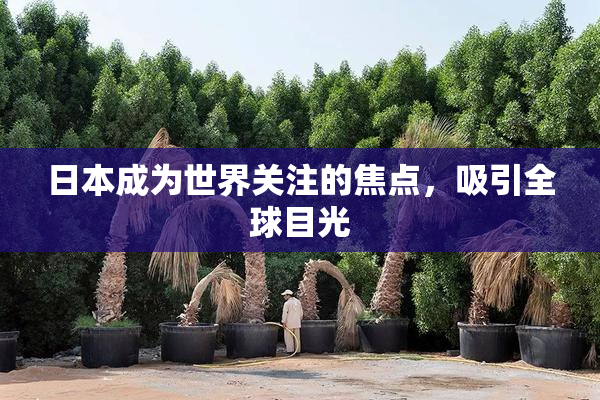 日本成为世界关注的焦点，吸引全球目光