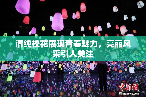 清纯校花展现青春魅力，亮丽风采引人关注
