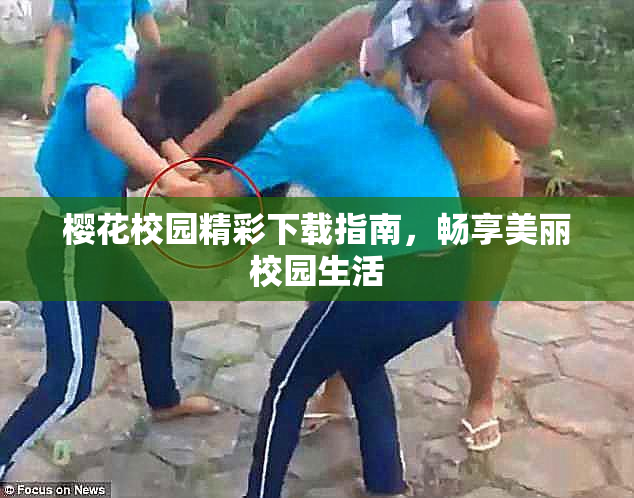 樱花校园精彩下载指南，畅享美丽校园生活