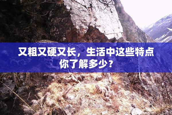 又粗又硬又长，生活中这些特点你了解多少？