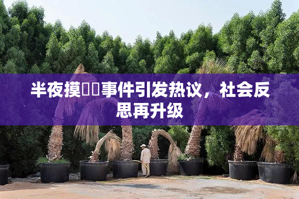 半夜摸妺妺事件引发热议，社会反思再升级