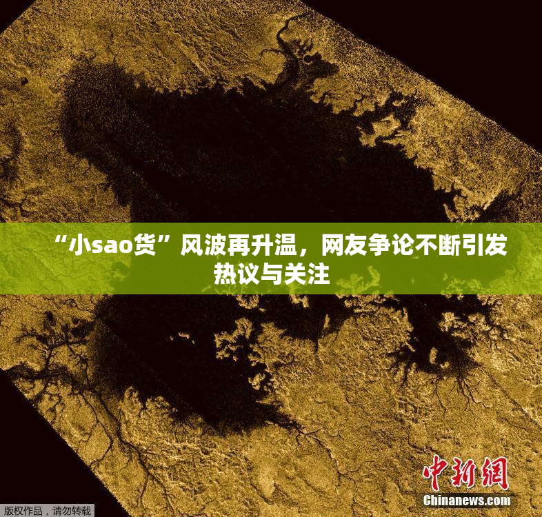 “小sao货”风波再升温，网友争论不断引发热议与关注