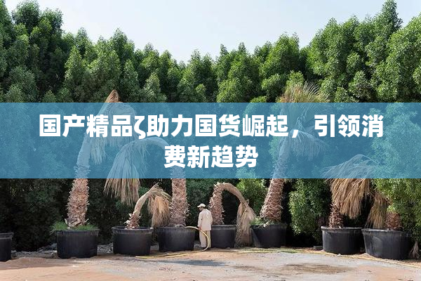 国产精品ζ助力国货崛起，引领消费新趋势