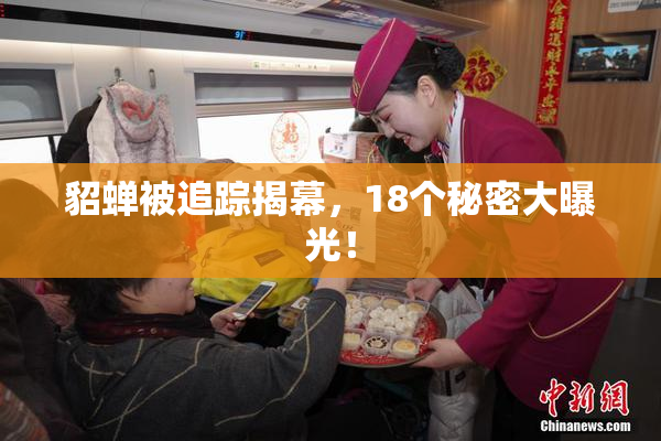 貂蝉被追踪揭幕，18个秘密大曝光！