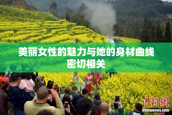 美丽女性的魅力与她的身材曲线密切相关