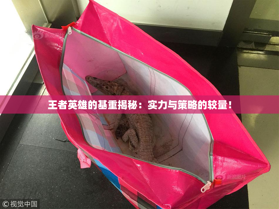 王者英雄的基重揭秘：实力与策略的较量！