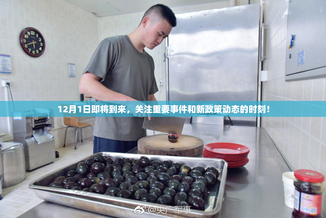 12月1日即将到来，关注重要事件和新政策动态的时刻！