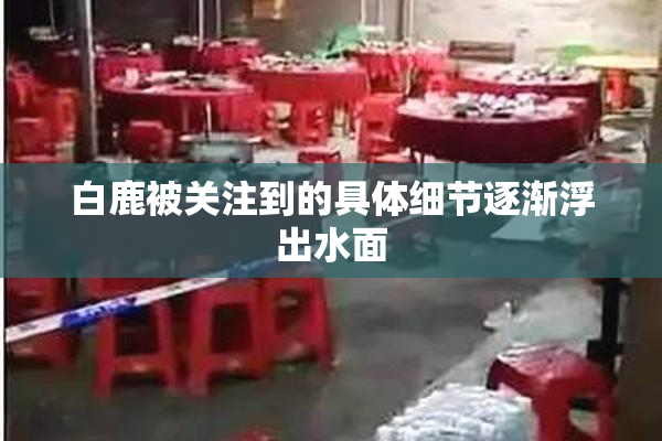 白鹿被关注到的具体细节逐渐浮出水面