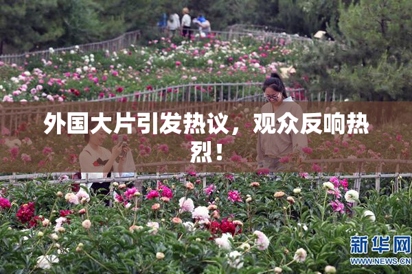 外国大片引发热议，观众反响热烈！