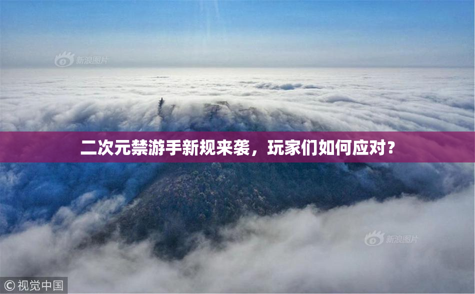 二次元禁游手新规来袭，玩家们如何应对？