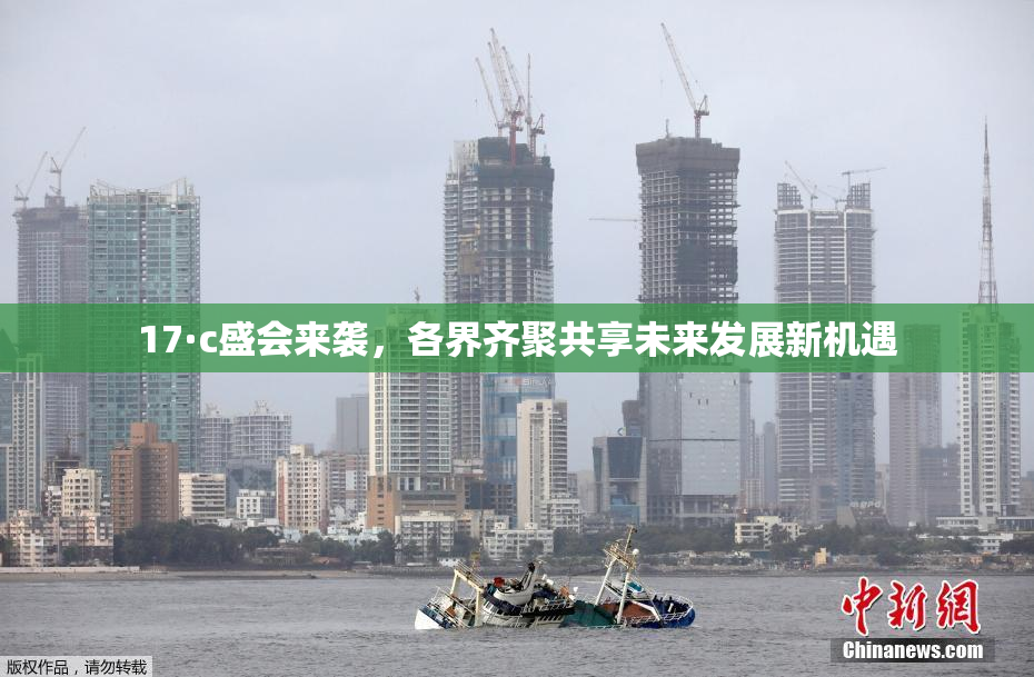 17·c盛会来袭，各界齐聚共享未来发展新机遇
