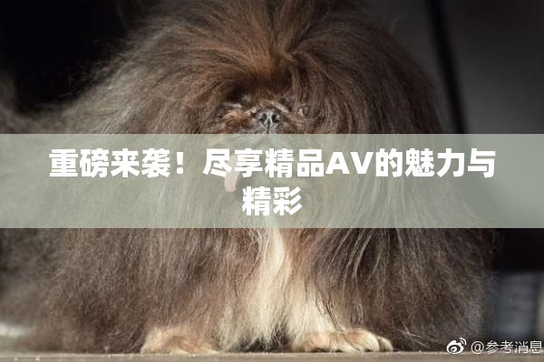 重磅来袭！尽享精品AV的魅力与精彩