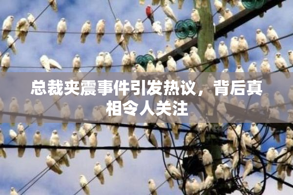 总裁夹震事件引发热议，背后真相令人关注