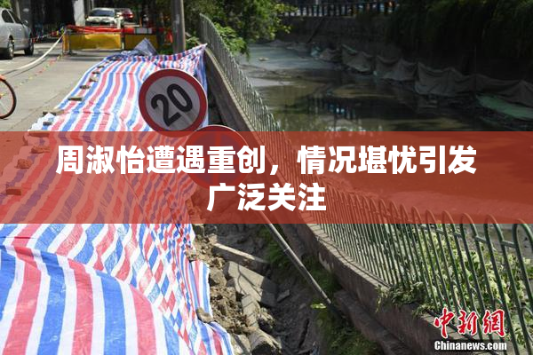 周淑怡遭遇重创，情况堪忧引发广泛关注