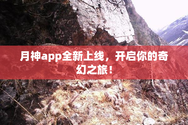 月神app全新上线，开启你的奇幻之旅！