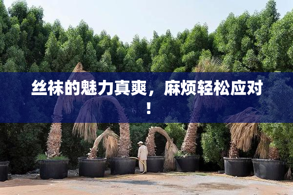 丝袜的魅力真爽，麻烦轻松应对！