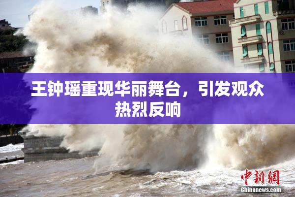 王钟瑶重现华丽舞台，引发观众热烈反响