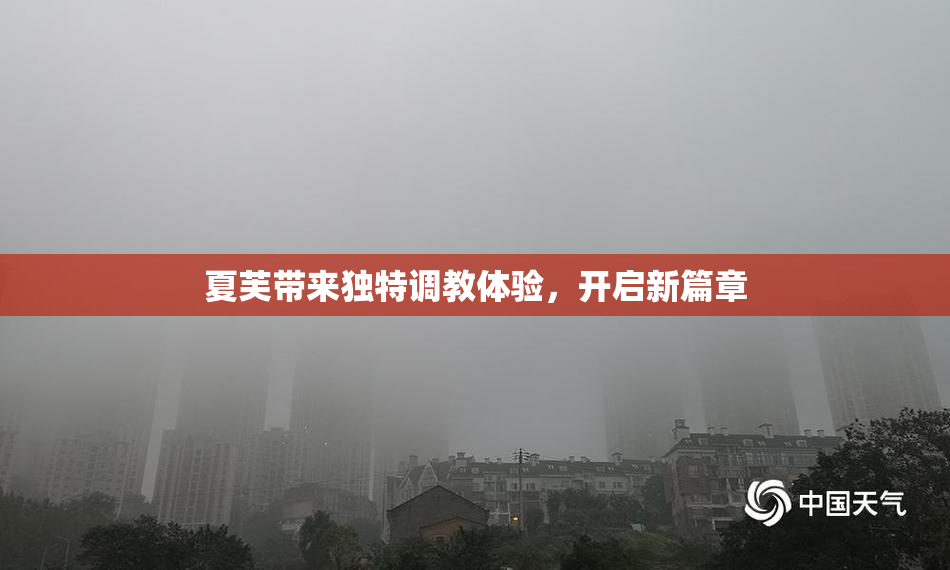 夏芙带来独特调教体验，开启新篇章