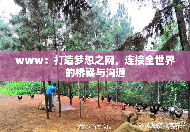 www：打造梦想之网，连接全世界的桥梁与沟通