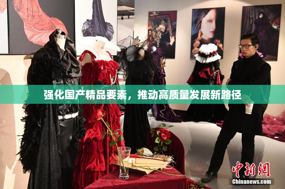 强化国产精品要素，推动高质量发展新路径