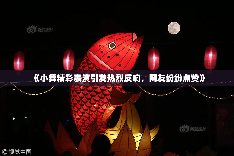 《小舞精彩表演引发热烈反响，网友纷纷点赞》
