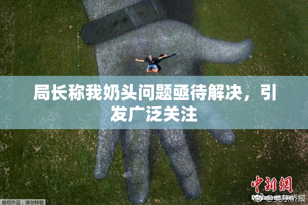 局长称我奶头问题亟待解决，引发广泛关注
