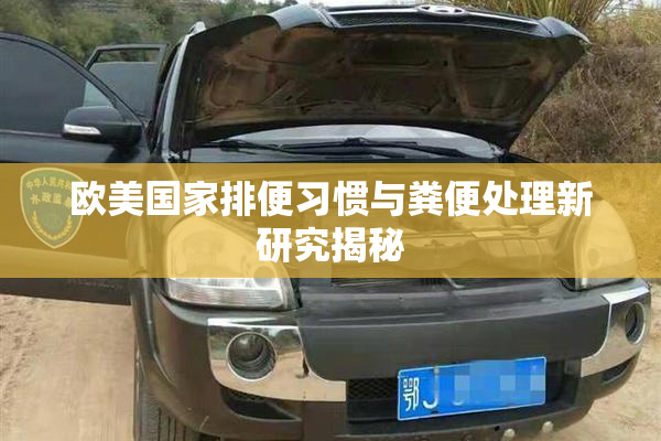 欧美国家排便习惯与粪便处理新研究揭秘