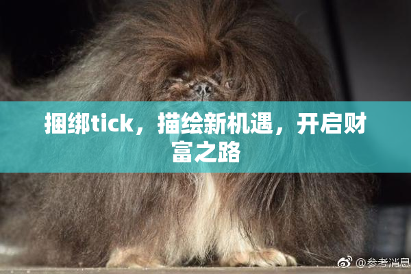 捆绑tick，描绘新机遇，开启财富之路