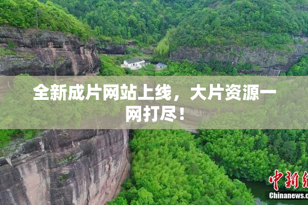 全新成片网站上线，大片资源一网打尽！