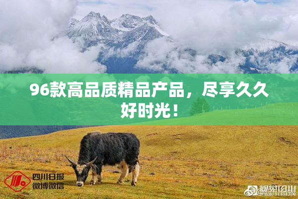96款高品质精品产品，尽享久久好时光！