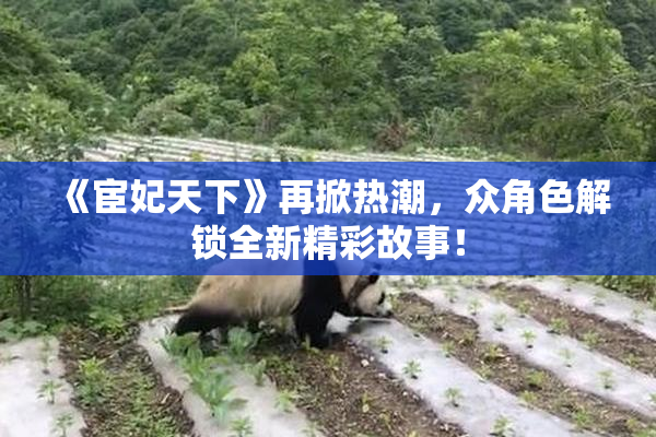 《宦妃天下》再掀热潮，众角色解锁全新精彩故事！
